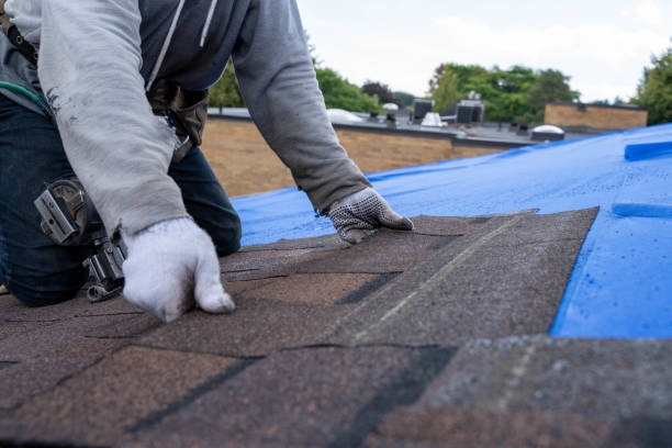 Best Shingle Roofing Installation  in August, CA